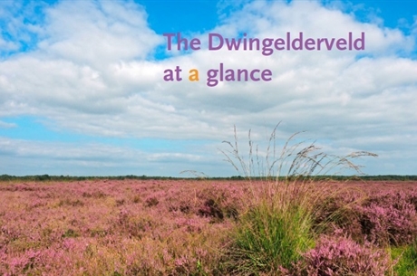 Dwingelderveld at a glance
