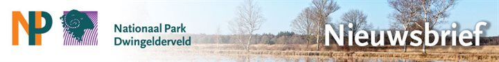 Dwingelderveld