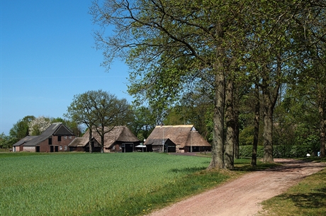 Esdorpenlandschap Lhee (3)[1]