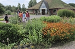 Wilde bloemenmarkt